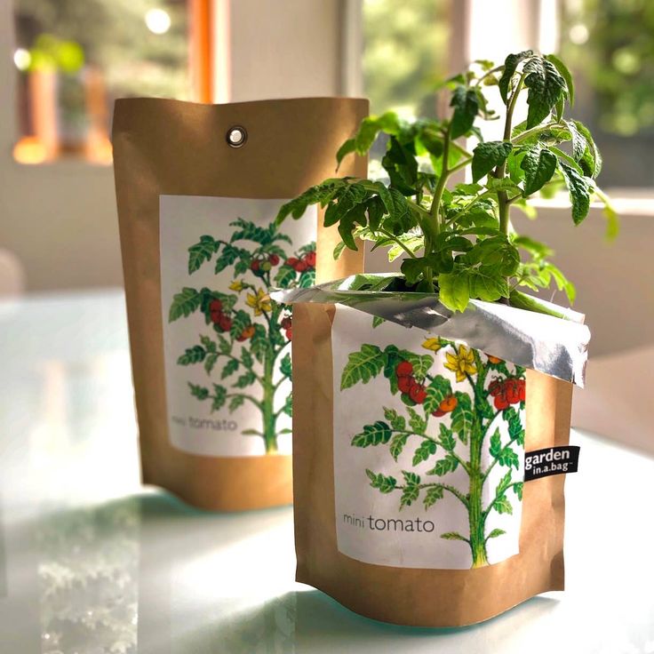 Garden in a Bag – Herbs & Flowers