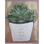 Get Well Soon Plant