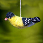 Goldfinch