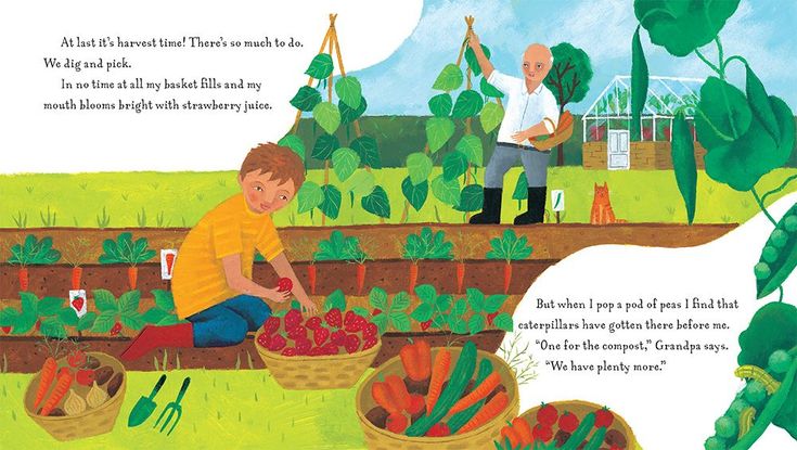 Barefoot Books ~ Grandpa's Garden