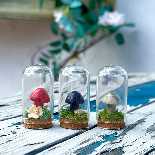 Crystal Mushroom Terrariums ✨🍄