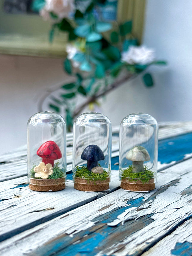 Crystal Mushroom Terrariums ✨🍄