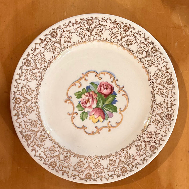 Vintage China ~ Park Lane Dalton By Royal USA
