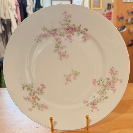 Vintage China ~ VTO216 By Victoria Austria