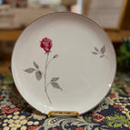 Dinner Plate