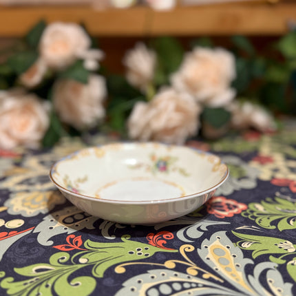 Vintage China ~ EMP24 (Japan) By Empress