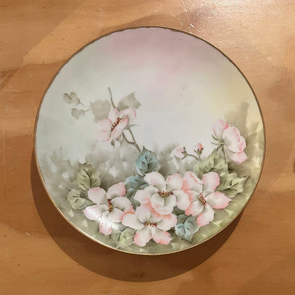 Vintage China ~ Hand Painted Flower Plates