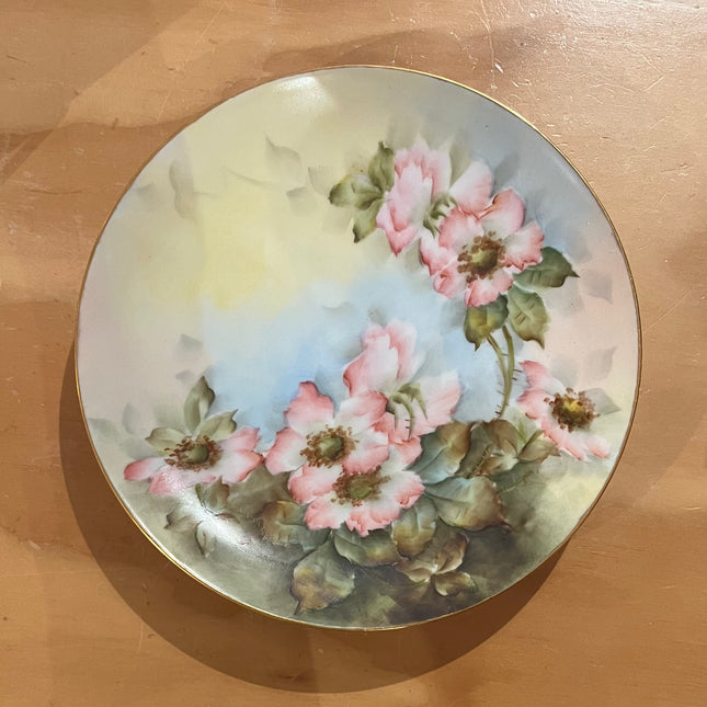 Vintage China ~ Hand Painted Flower Plates