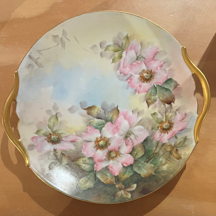 Vintage China ~ Hand Painted Flower Plates