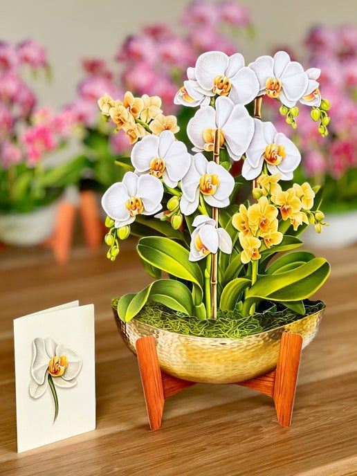 Paper Flower Bouquet ~ Serenity Orchid