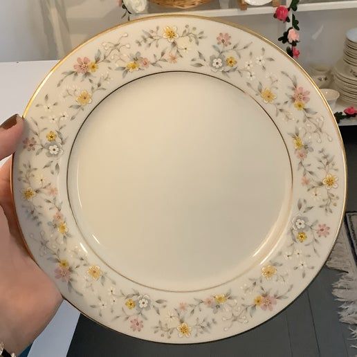 Vintage China ~ Delevan by Noritake