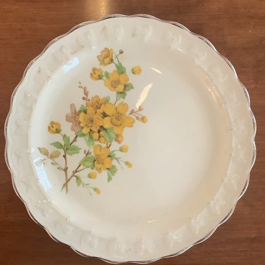 Vintage China ~ TST66 by TS & T (Taylor, Smith & T)