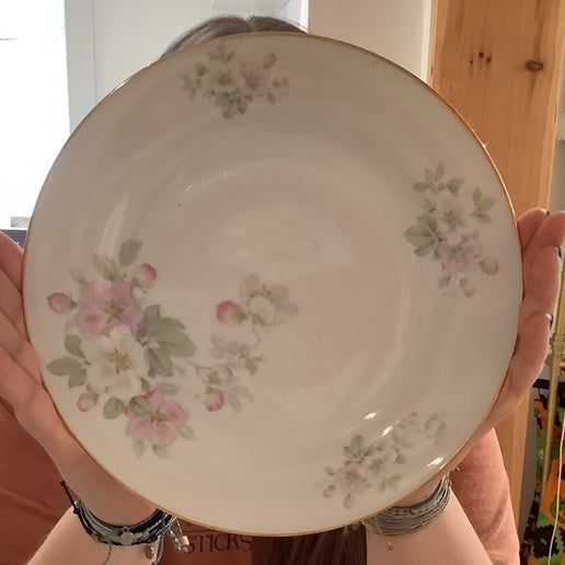Vintage China ~ Apple Blossom By Tirschenreuth