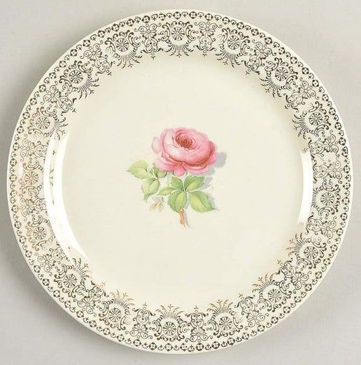 Vintage China ~ 1927 By Taylor Smith & T