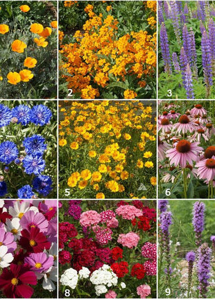 Kids Scatter Garden | Butterfly Habitat