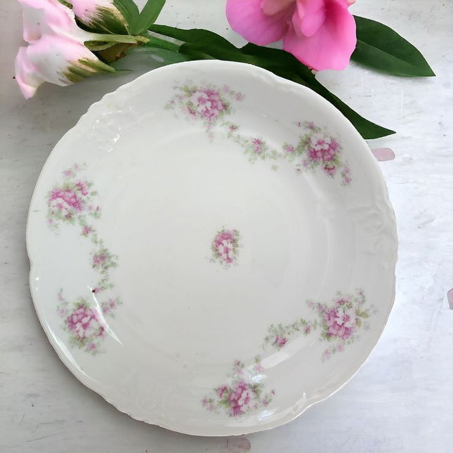 Vintage China ~ New Hapsburg Austria Purple Flowers