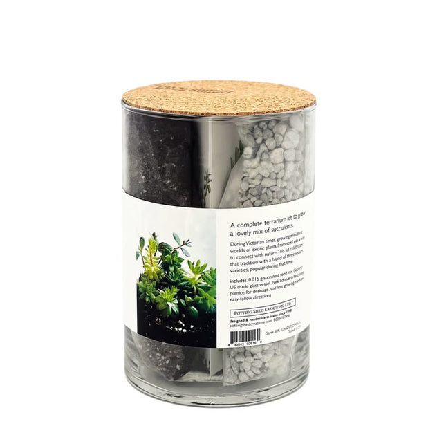 Succulent Terrarium