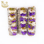 Purple and White Sinuata Flower