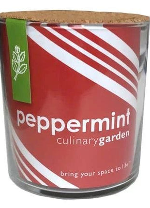 Peppermint Culinary Garden