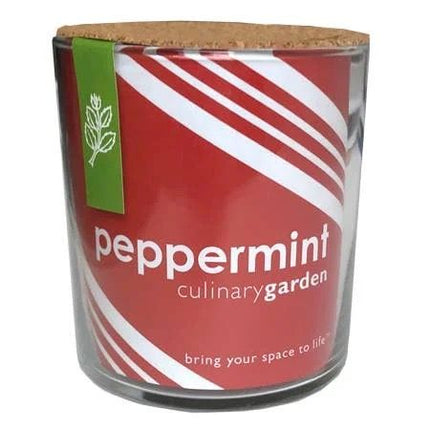 Peppermint Culinary Garden