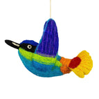Rainbow Hummingbird
