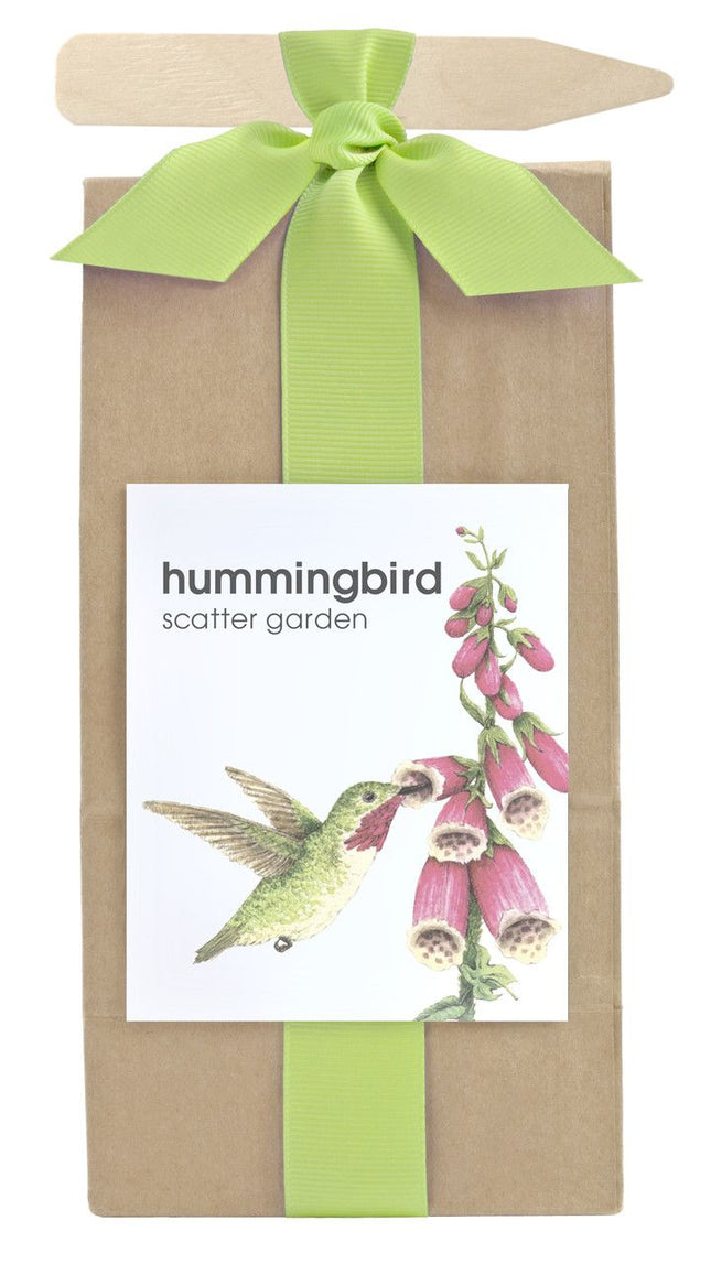 Scatter Garden | Hummingbird