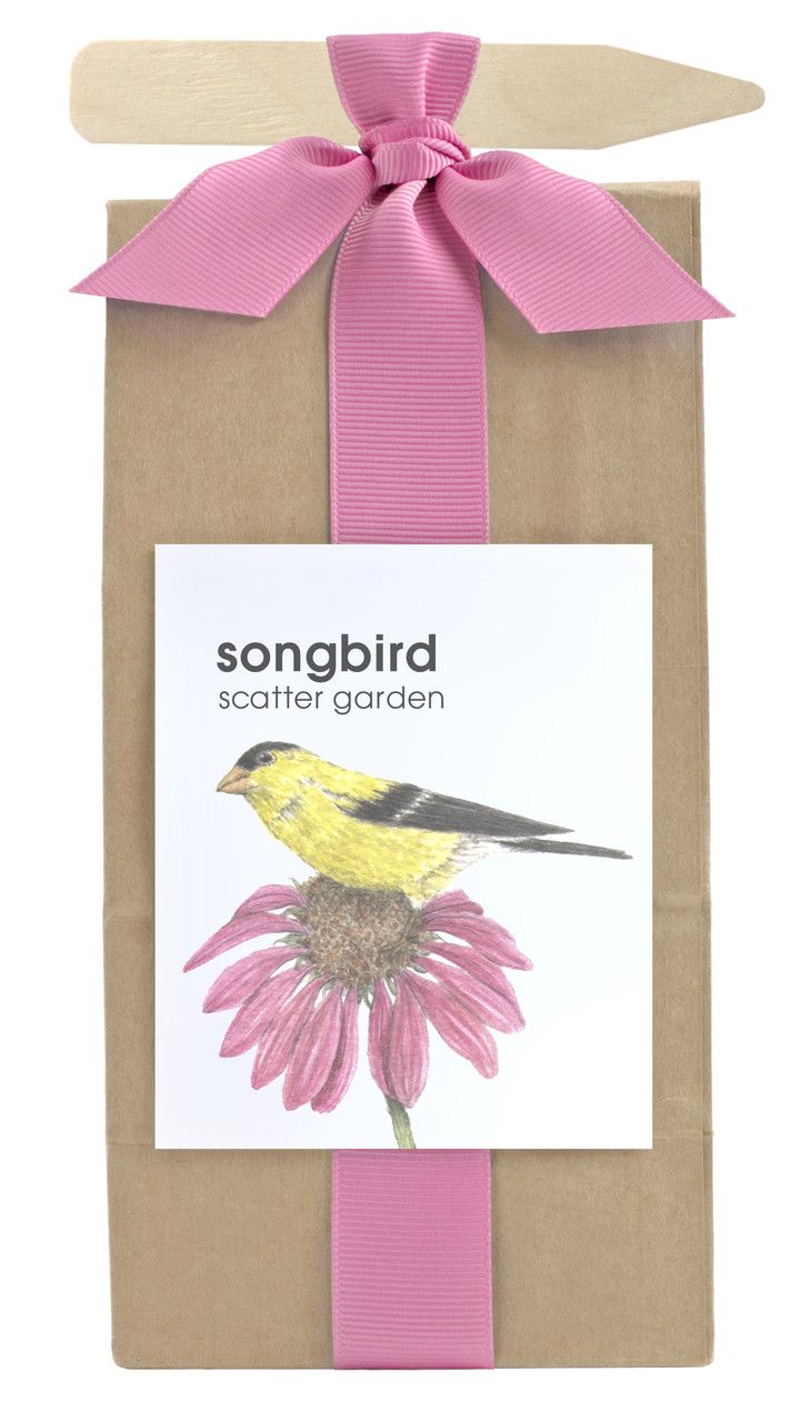 Scatter Garden | Songbird