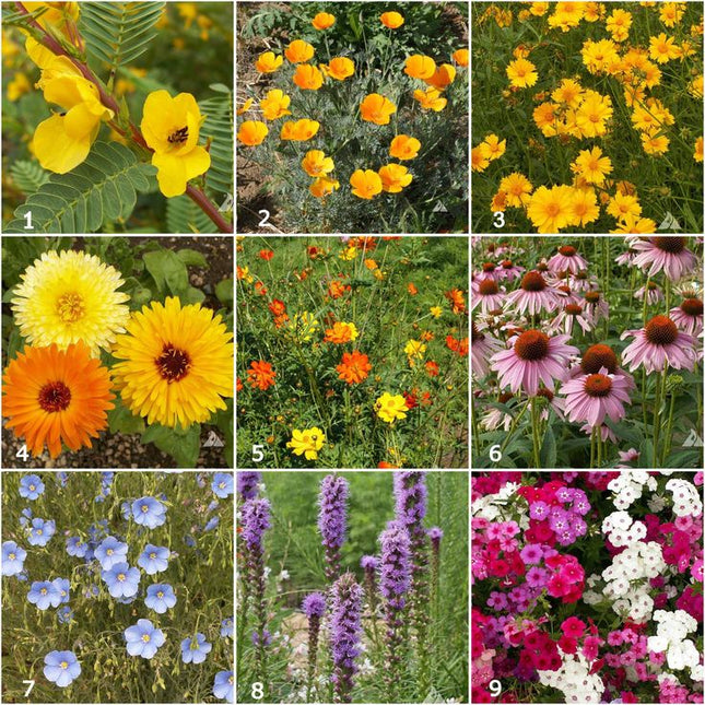 Scatter Garden | Songbird