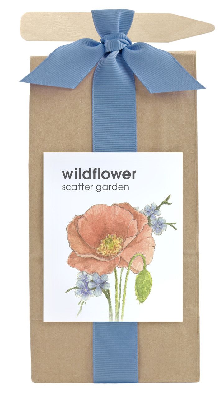 Scatter Garden | Wildflower