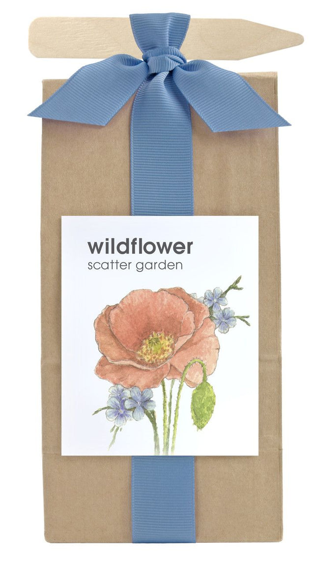 Scatter Garden | Wildflower