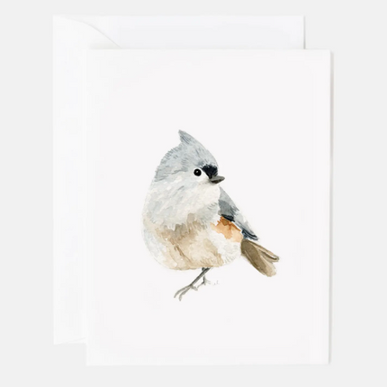 Birds Assorted Notecard Set