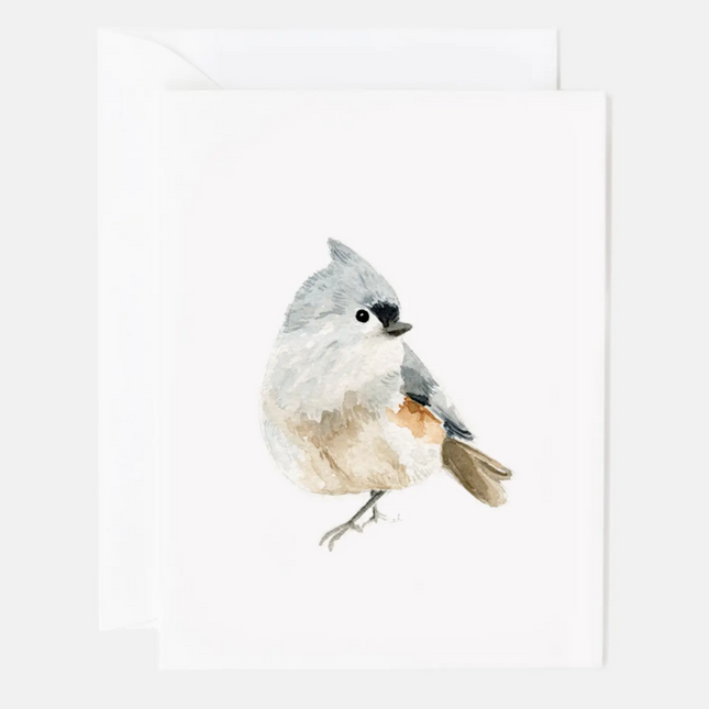 Birds Assorted Notecard Set
