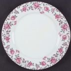 Dinner Plate