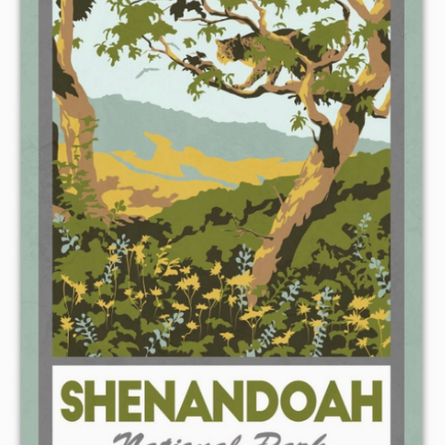 Shenandoah National Park Collection