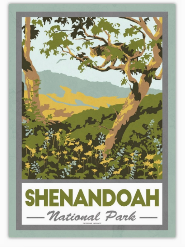 Shenandoah National Park Collection