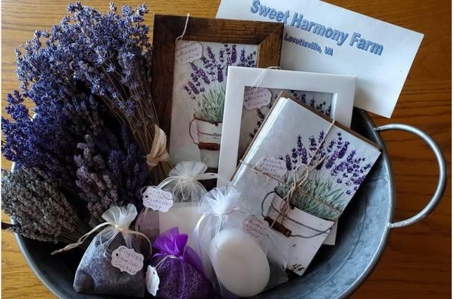 Dried Lavender Bundles