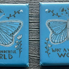 Butterfly Wonderful World