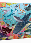 Love of Sharks