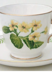 Teacup