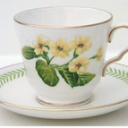 Saucer