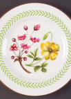 Bread & Butter Plate
