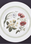 Dinner Plate
