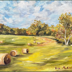 Still Meadows 5x7