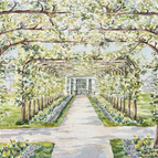 Bunny's Walk Way - Oak Springs 5x7