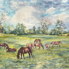 Ponies Among the Buttercups 5x7
