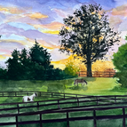 Middleburg First Impressions 8x10