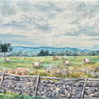 Fields of Glory 5x7