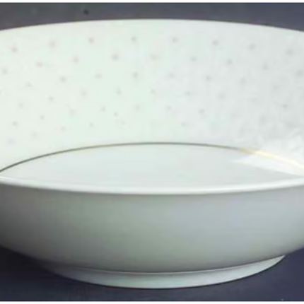 Vintage China~ Crown Jewel by Rosenthal