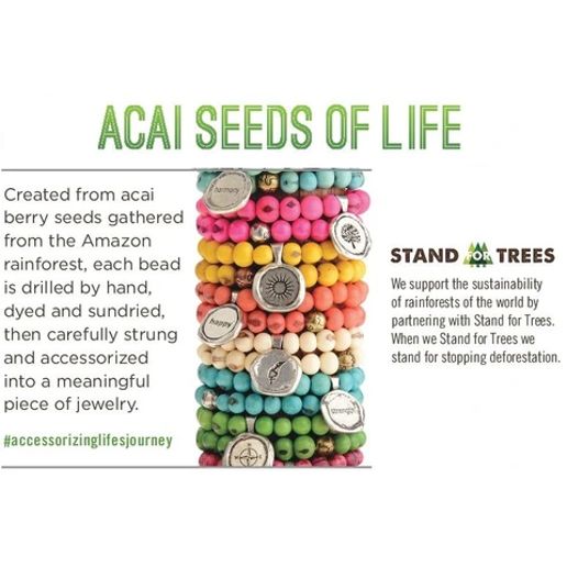Washington SPIRIT Acai Bracelets