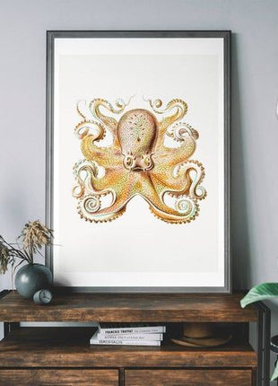 Vintage Octopus Illustration Print ~ Ernst Haeckel